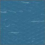 Blue Merle-12