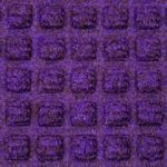 168-Purple
