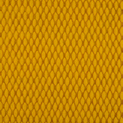 Yellow-1025