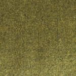 PLM-437
