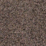 PLM-482